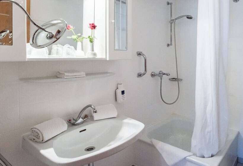 غرفة كلاسيكية, Schiff Am Schluchsee