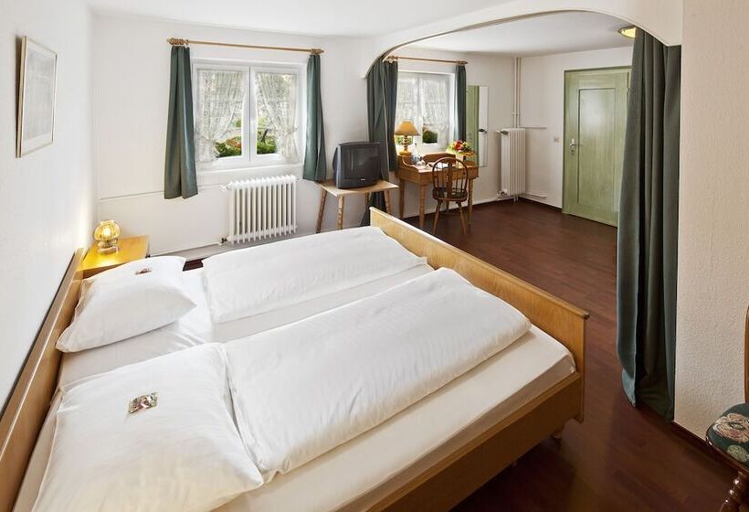 غرفة كومفورت, Schiff Am Schluchsee