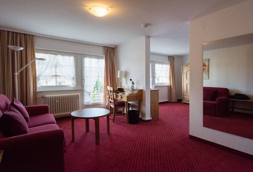 غرفة سوبيريور, Schiff Am Schluchsee