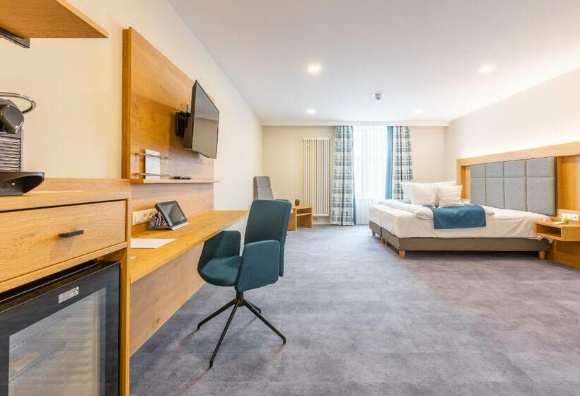 스탠다드 룸, Schwan Und Post Business Quarters