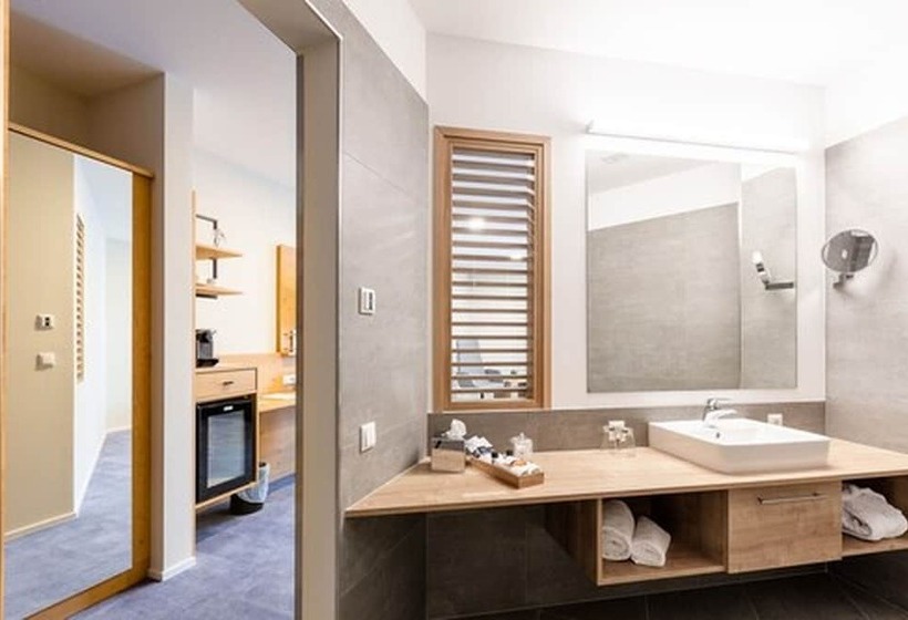 스탠다드 룸, Schwan Und Post Business Quarters