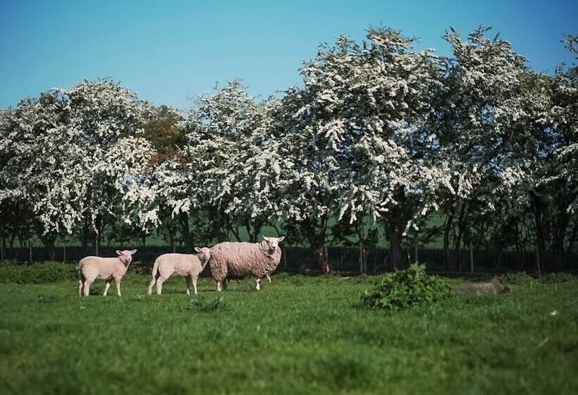 חדר סטנדרט, Den Gamle Grænsekro Inn
