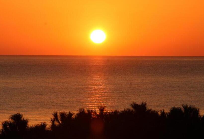 Номер Стандарт, Alexandra