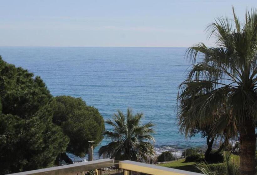 חדר סופריור, Alexandra