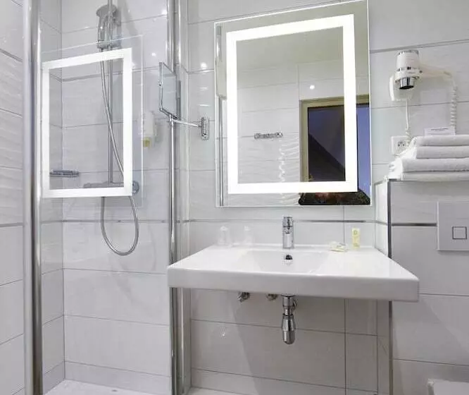 Deluxe-huone, Best Western Plus Au Cheval Blanc à Mulhouse