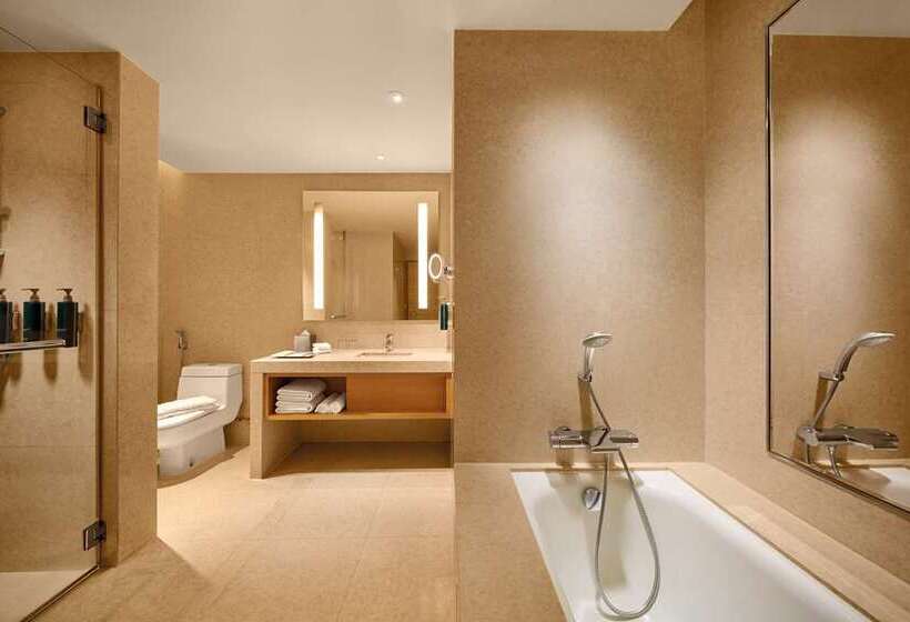 סוויטה, Conrad Dublin