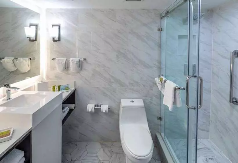 Quarto Premium, Conrad Dublin