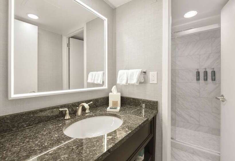 חדר פרמיום, Conrad Dublin