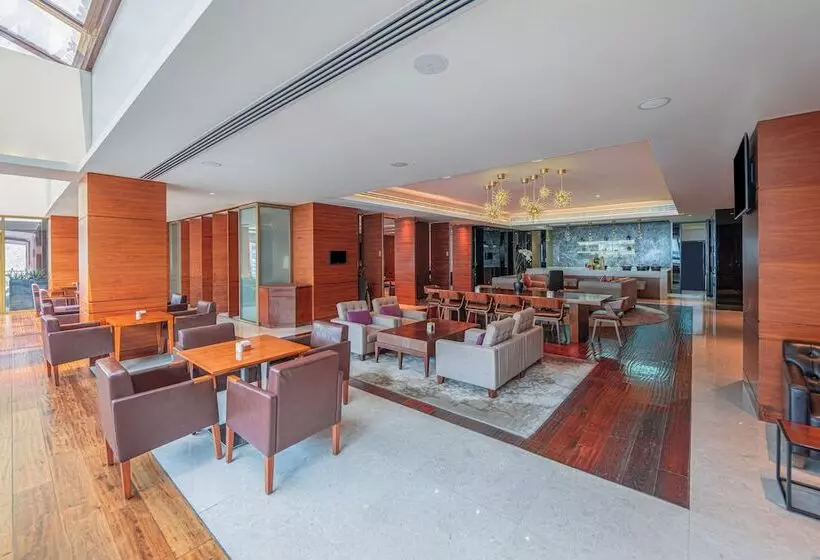 سوییت اجرایی, Hyatt Regency Dubai   Corniche