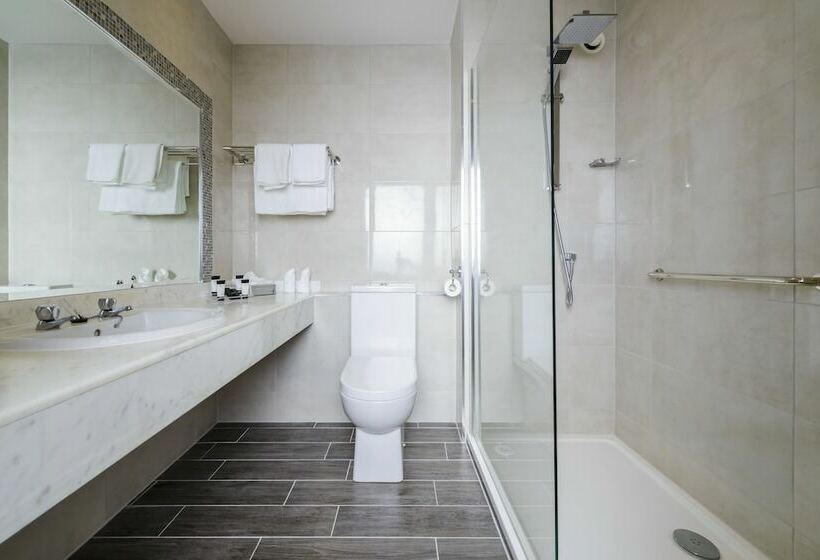 Номер Стандарт Трехместный, Killarney Dromhall