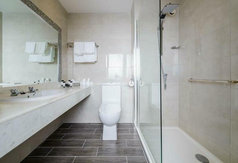 חדר דחוקס עם מיטת קינג, Killarney Dromhall