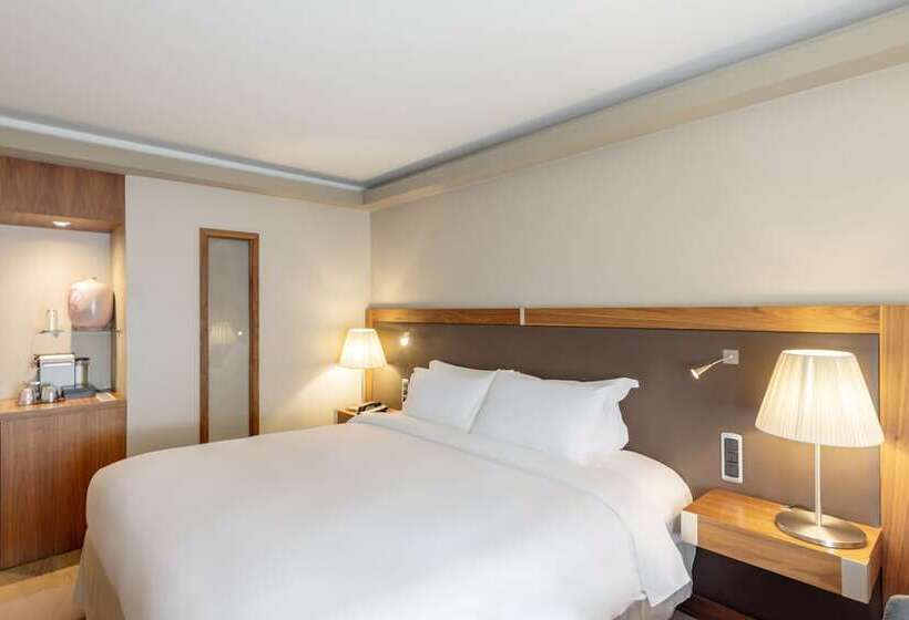 اتاق سوپریور, Sofitel Lyon Bellecour