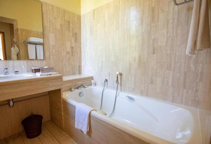 舒适型房间, Château Des Alpilles