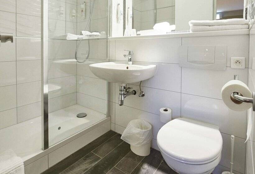 Номер Стандарт, Ibis Haguenau Strasbourg Nord