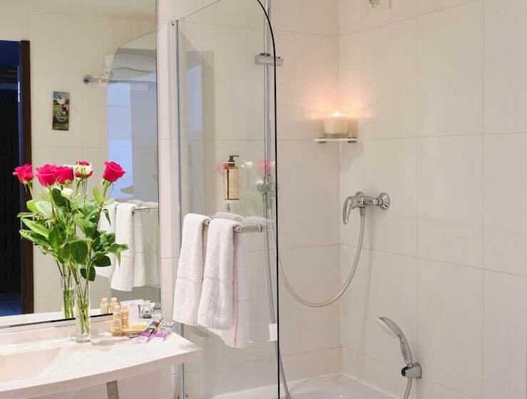 高级大房间, Mercure Chartres Cathedrale