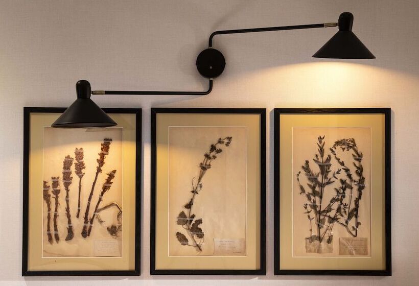 Camera Standard Individuale, Maxim Quartier Latin