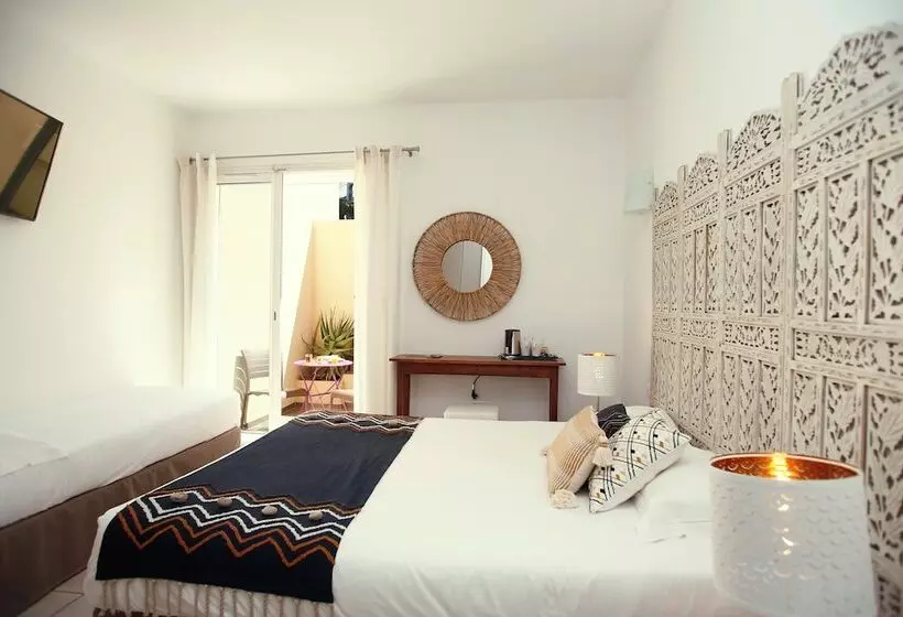 اتاق کلاسیک, Le Saint Erasme, Hotel Eco Friendly