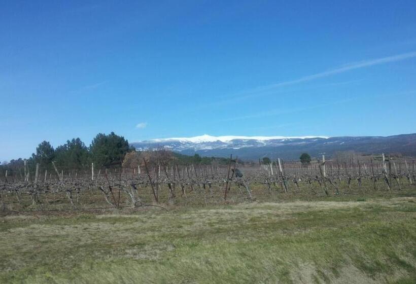 스탠다드 발코니 룸, Le Signoret