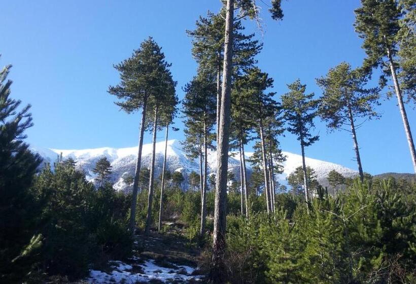 스탠다드 발코니 룸, Le Signoret