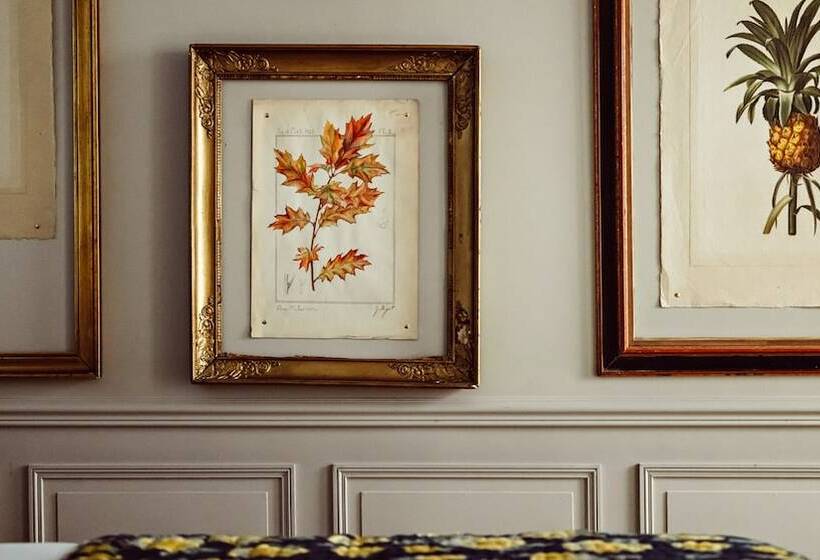 اتاق دلوکس مخصوص معلولین, Maison Saintonge