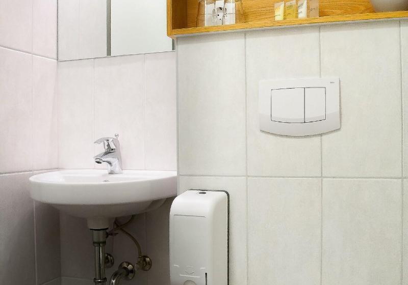 Полулюкс, Sofitel Strasbourg Grande Ile