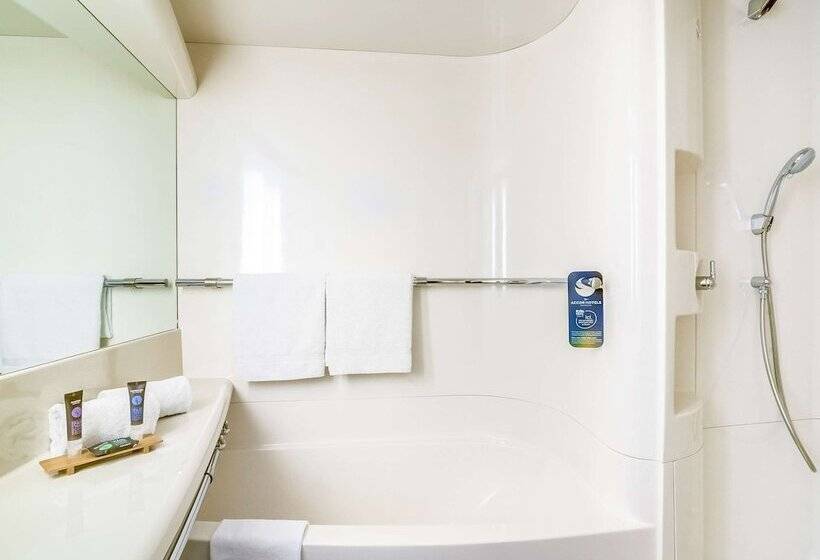 Классический Номер, Novotel Paris Orly Rungis Aéroport