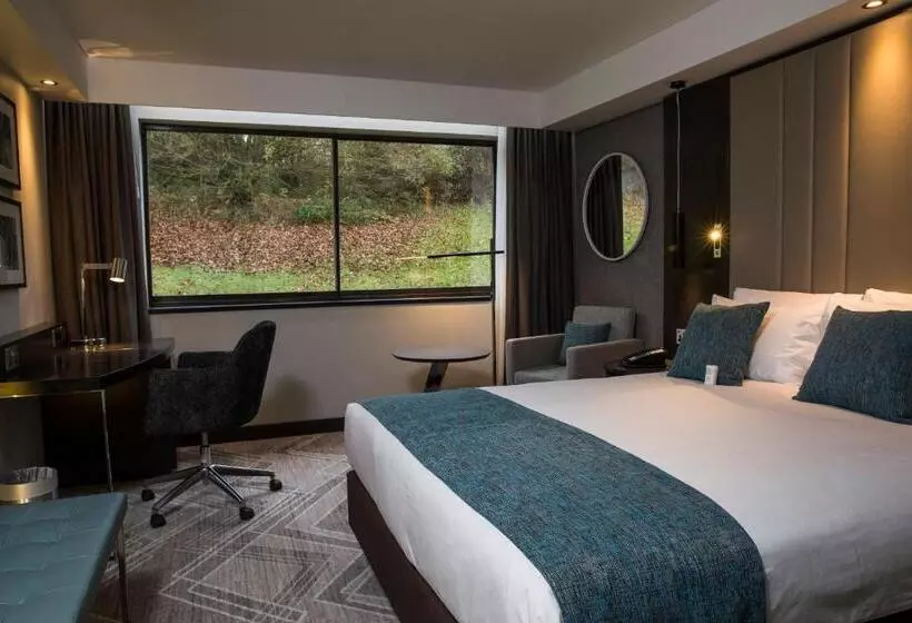 エクゼクティブルーム, Crowne Plaza Basingstoke, An Ihg