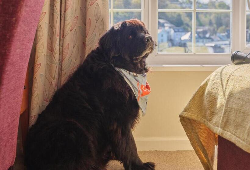 스탠다드 룸 강 전망, The Old Ferry Inn