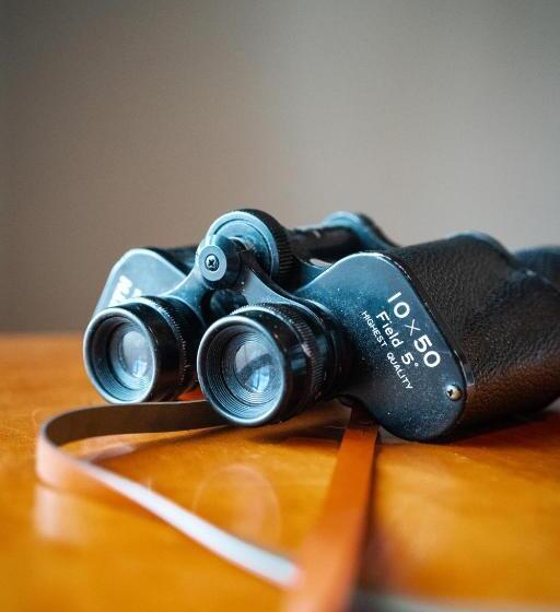 غرفة ديلوكس, The Old Ferry Inn