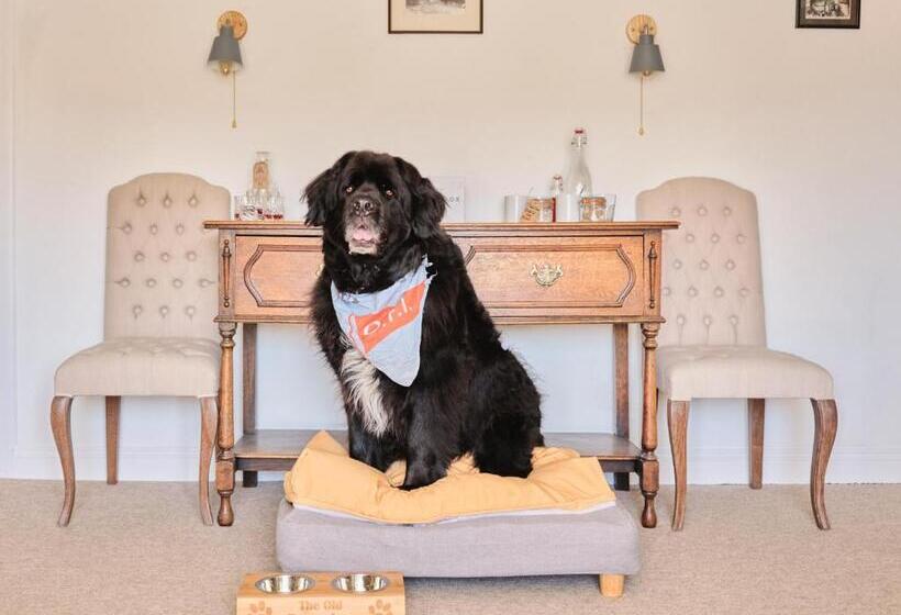 주니어 스위트 바다 전망, The Old Ferry Inn