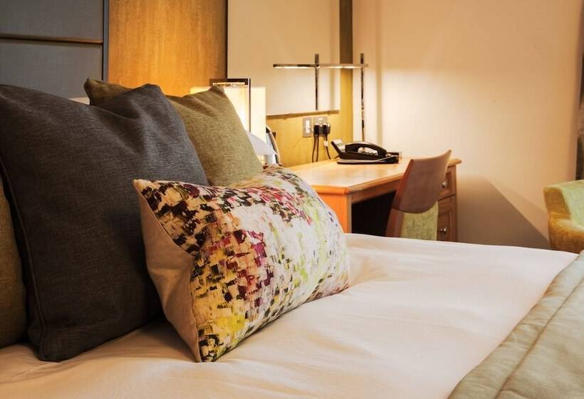 غرفة كلاسيكية, Trout