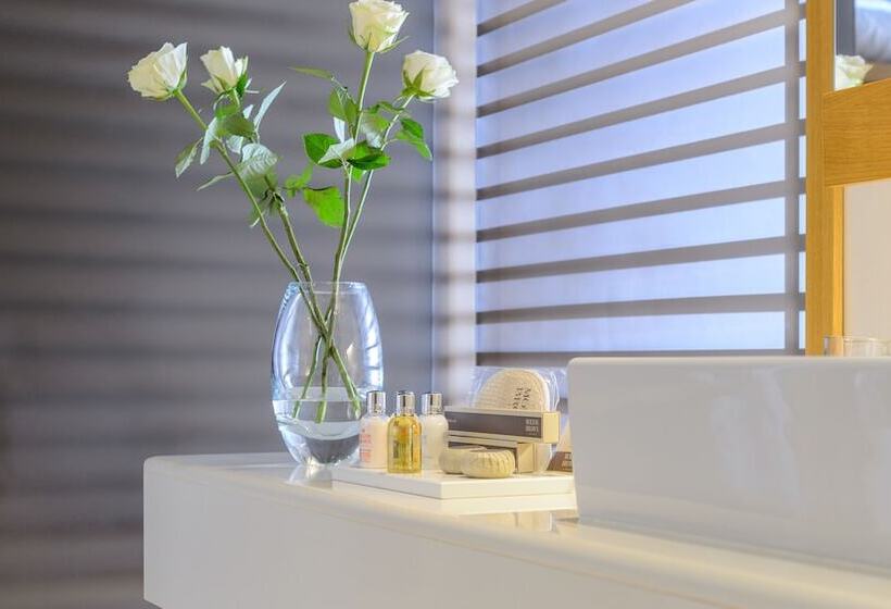 바다전망 이그제큐티브 룸, Alexander Beach Hotel & Spa