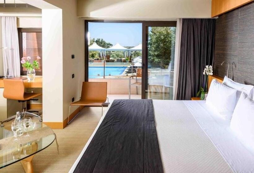 带泳池观景的豪华房, Alexander Beach Hotel & Spa