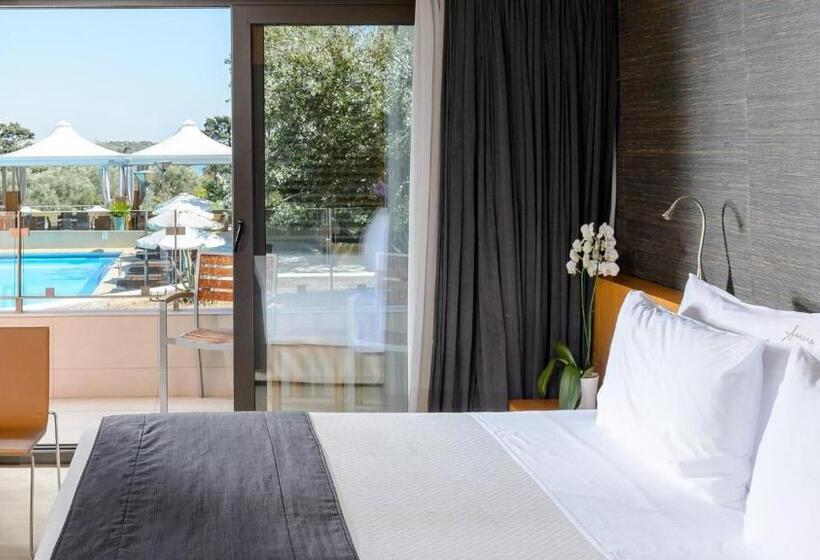 带泳池观景的豪华房, Alexander Beach Hotel & Spa