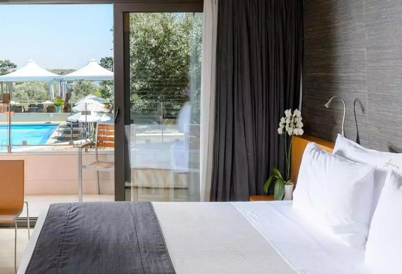 プールの見えるスーペリアルーム, Alexander Beach Hotel & Spa
