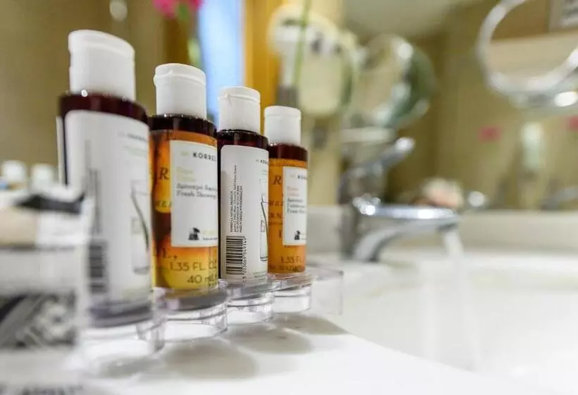 スーペリアシングルルーム, Alexander Beach Hotel & Spa