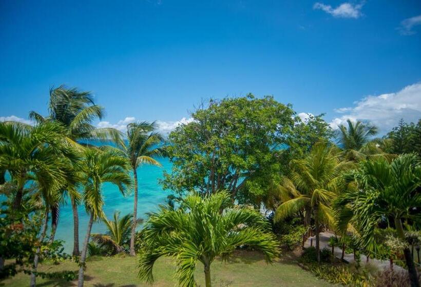 اتاق پرستیژ, Auberge De La Vieille Tour