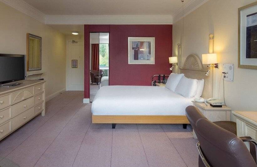 غرفة بيزنس, Hilton Leicester