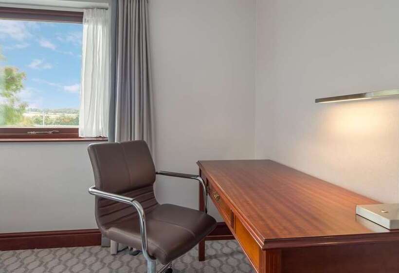 غرفة بيزنس, Hilton Leicester