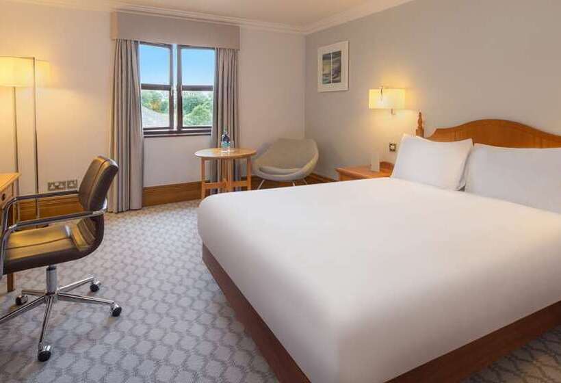 غرفة ديلوكس, Hilton Leicester