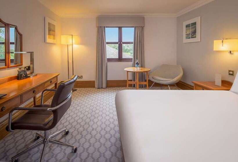 غرفة ديلوكس, Hilton Leicester