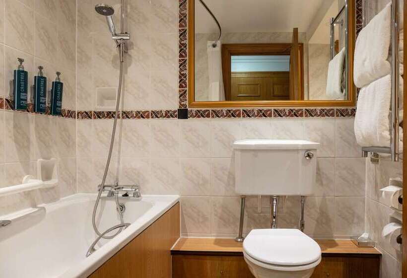 غرفة ديلوكس, Hilton Leicester