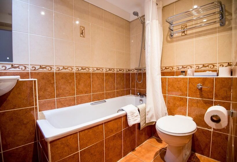 スタンダードシングルルーム, Ivy Bush Royal Hotel By Compass Hospitality