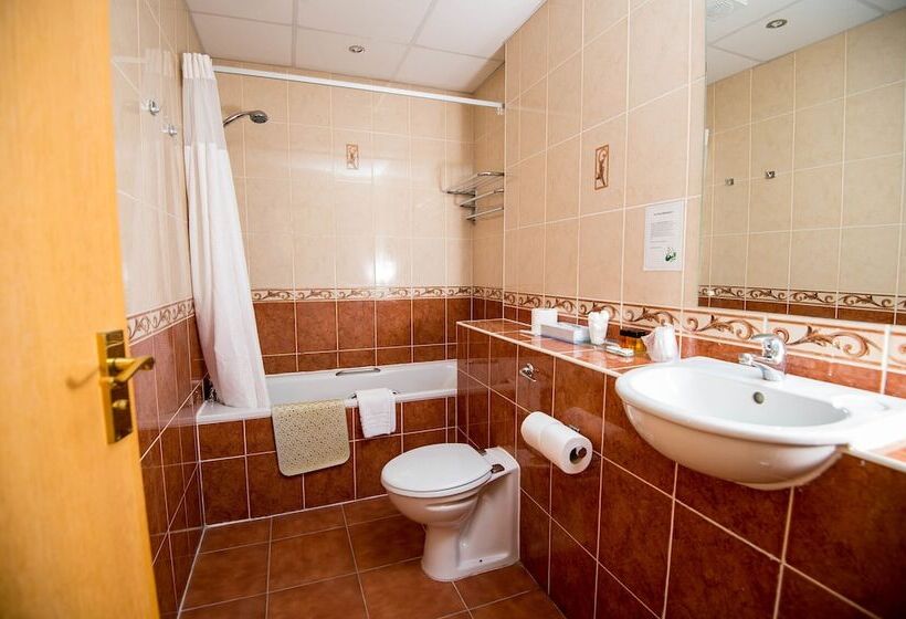 スタンダードシングルルーム, Ivy Bush Royal Hotel By Compass Hospitality