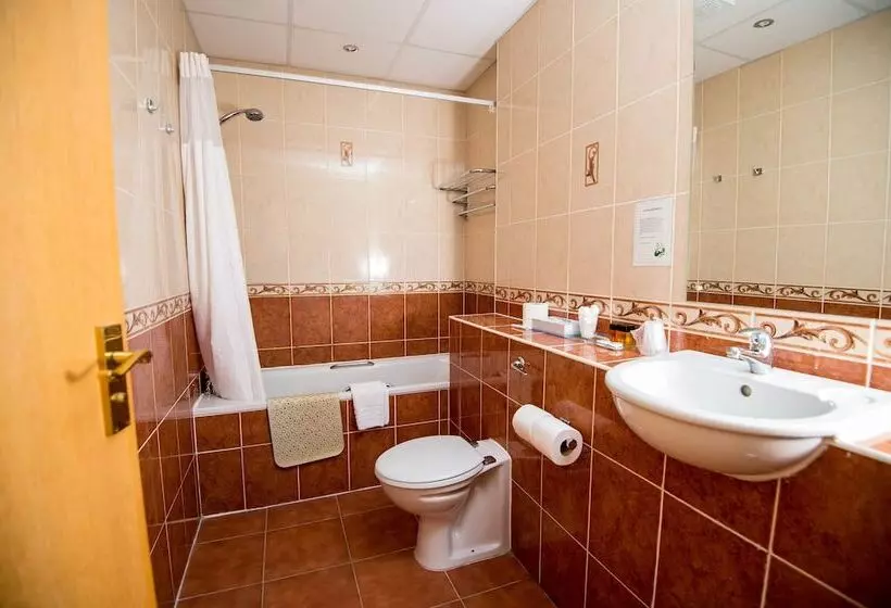 اتاق استاندارد یک نفره, Ivy Bush Royal Hotel By Compass Hospitality