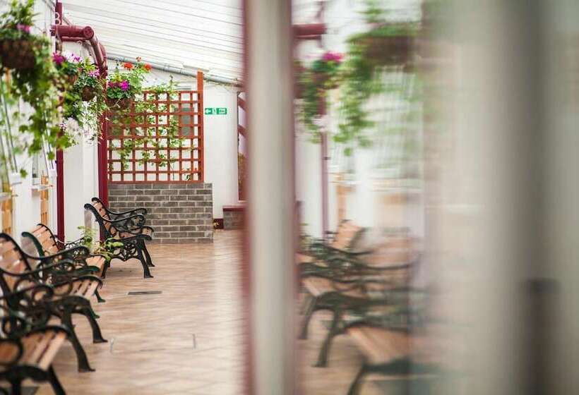 家庭间, Royal Sportsman