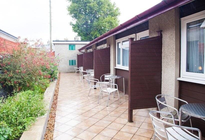 家庭间, Royal Sportsman