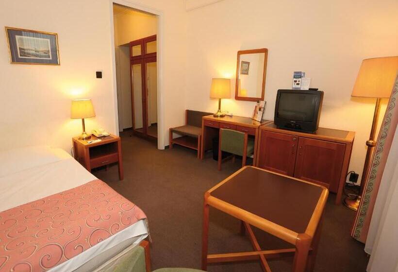 スタンダードシングルルーム, Danubius Hotel Raba