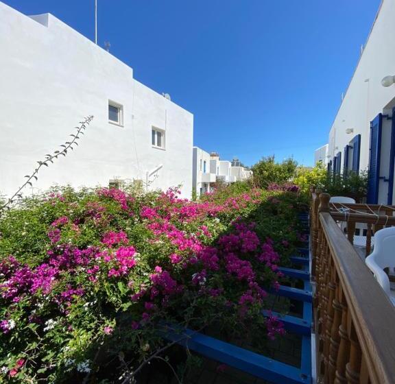 スタンダード4人部屋, Helliniko