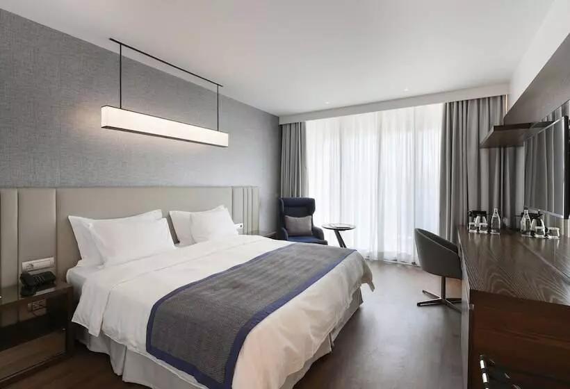 اتاق اجرایی, Makedonia Palace